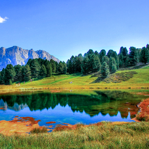 古东真理子全部作品顺序
